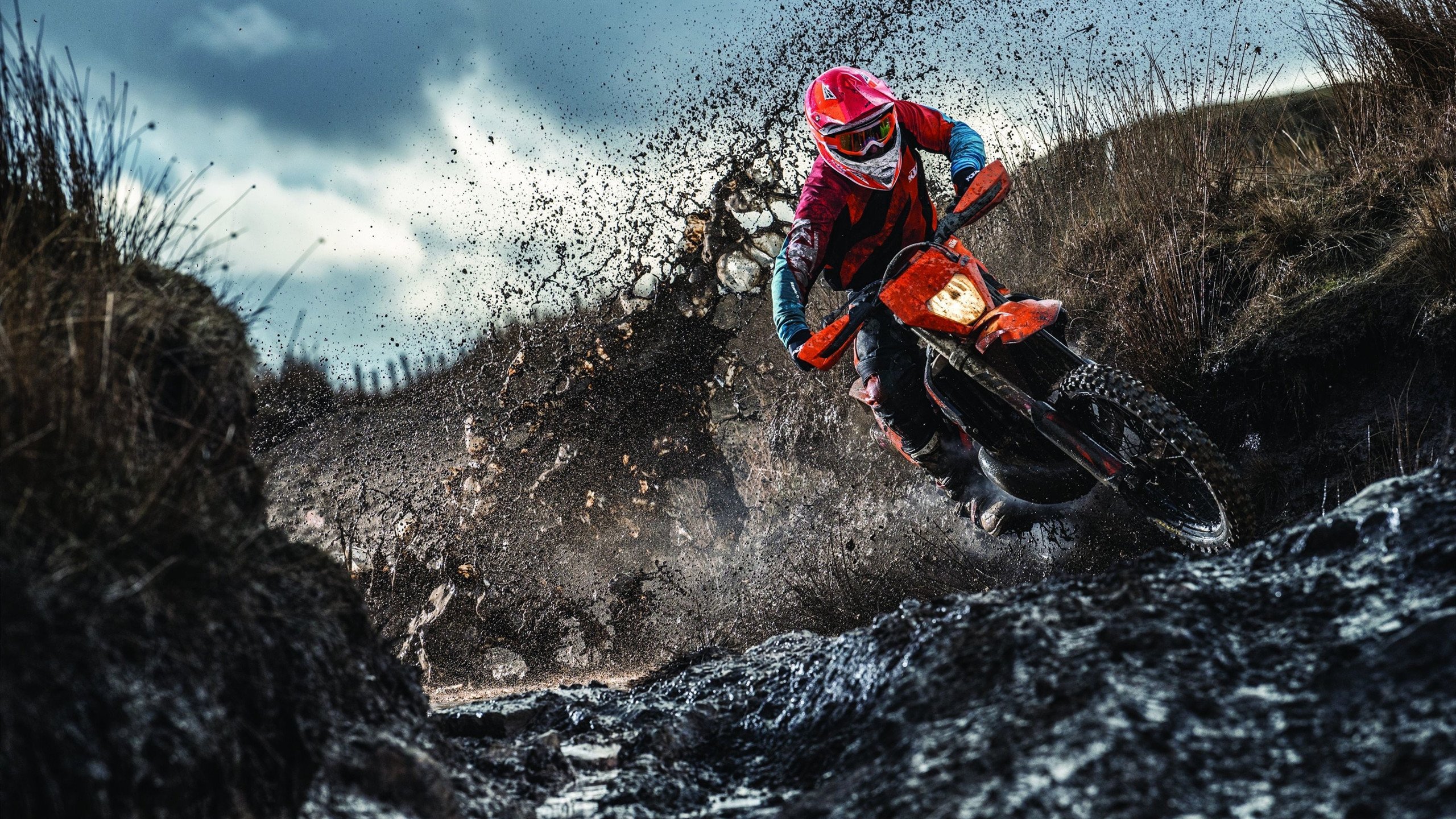 乒乓球最新战报！克罗地亚队迎战西班牙队，超级对决，球迷热情点燃赛场